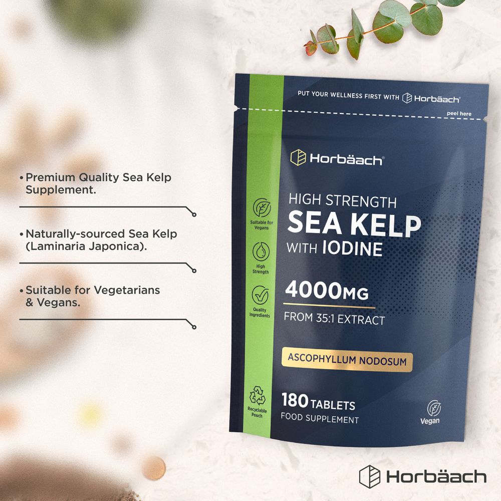 A hand holds vegan tablets of High Strength Sea Kelp with Iodine, 4000mg, 180 count, showcasing the product size and packaging.