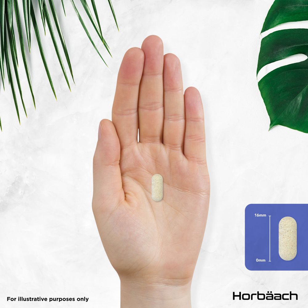 Beige 16mm tablet resting in an open palm, with a graphic showing its 16mm length for scale.
