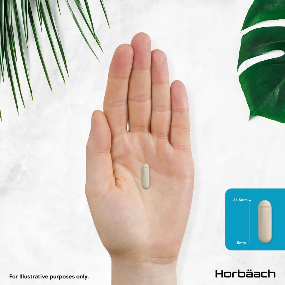 The image shows a capsule measuring 21.5mm in length on a hand-scale for size comparison.