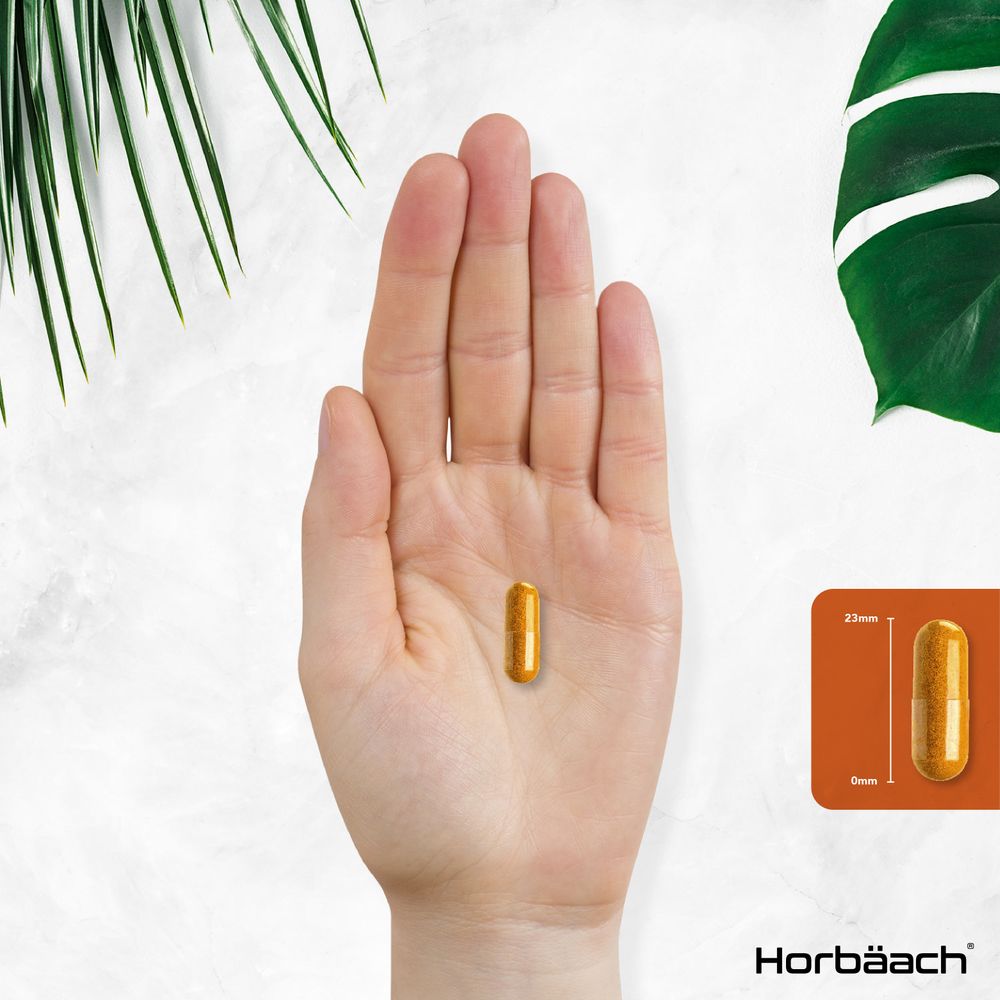 Hand holding a golden capsule; inset graphic displays capsule dimensions as 23mm long and 0mm wide.
