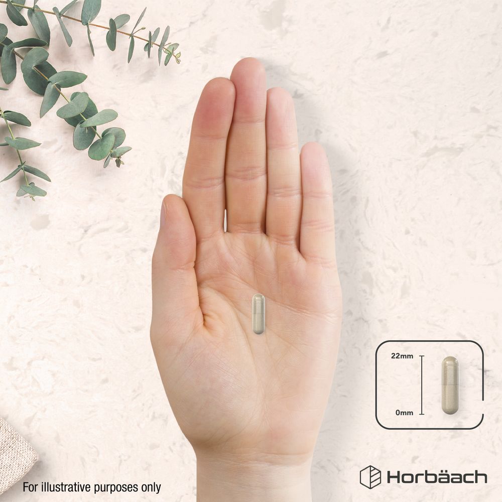 A hand holds a 22mm capsule, with a diagram illustrating the capsule length as 22mm.