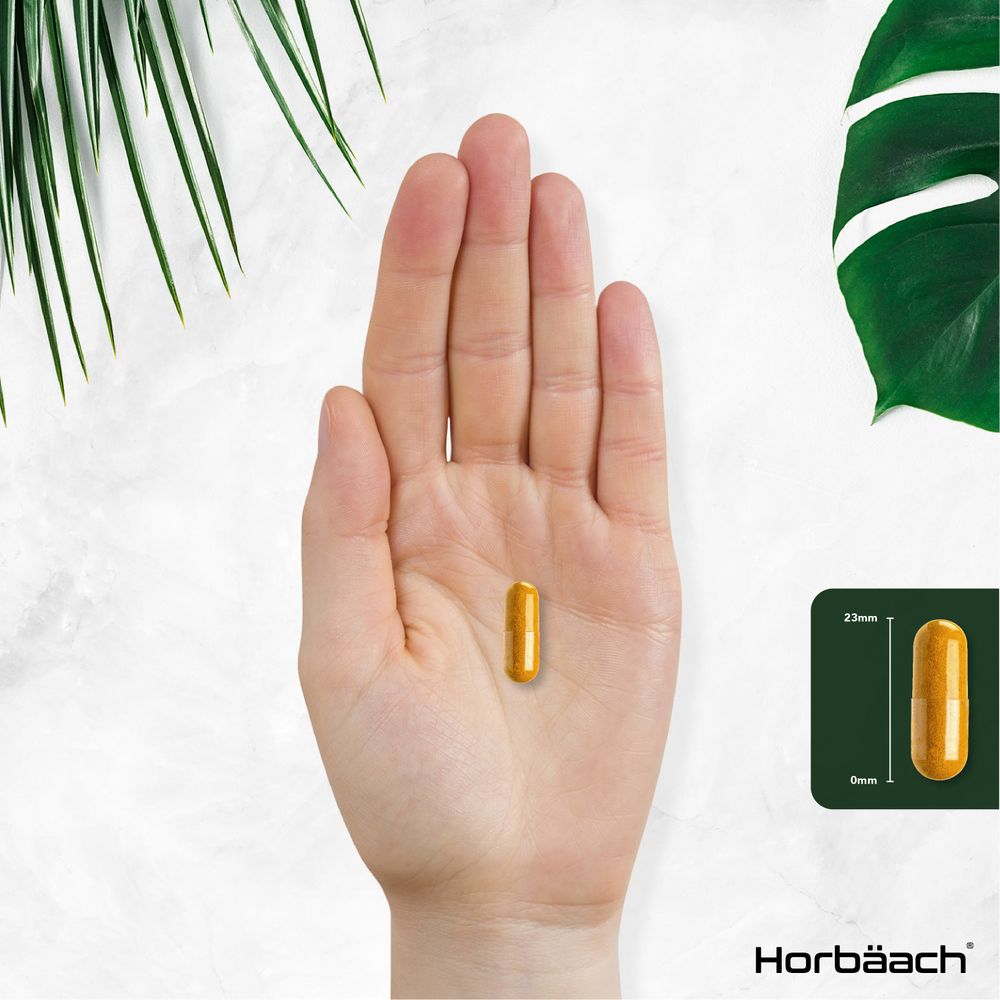 A capsule measuring 23mm in length placed on a hand for scale comparison.