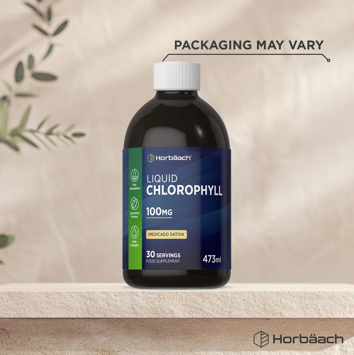 Horbäach Liquid Chlorophyll 100mg, 473ml offers fast absorption. Spearmint flavor, high strength, and 30 servings included.