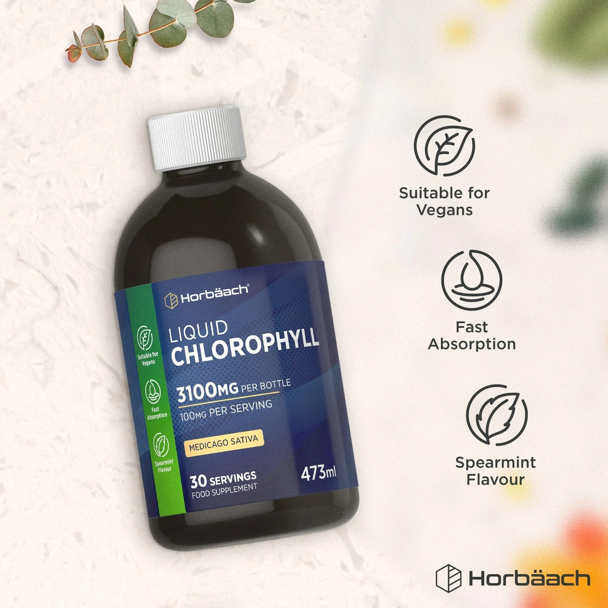 Horbäach Liquid Chlorophyll, 473ml bottle, 3100mg per bottle, suitable for vegans, fast absorption, spearmint flavor.