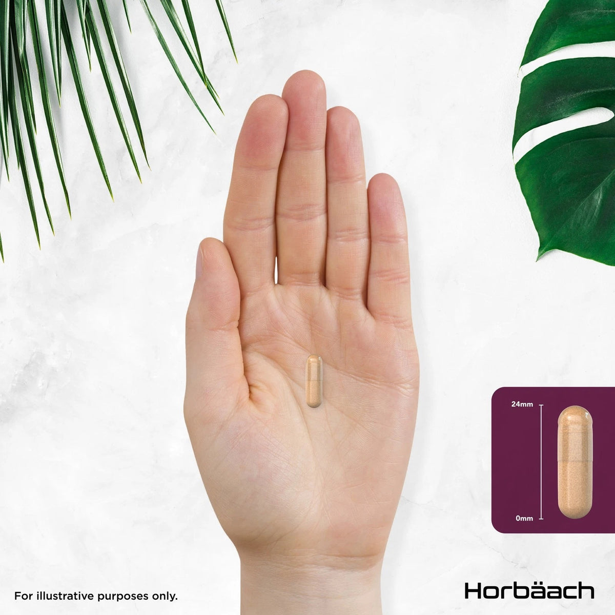 A hand holds a single 24mm long, 0mm wide capsule.