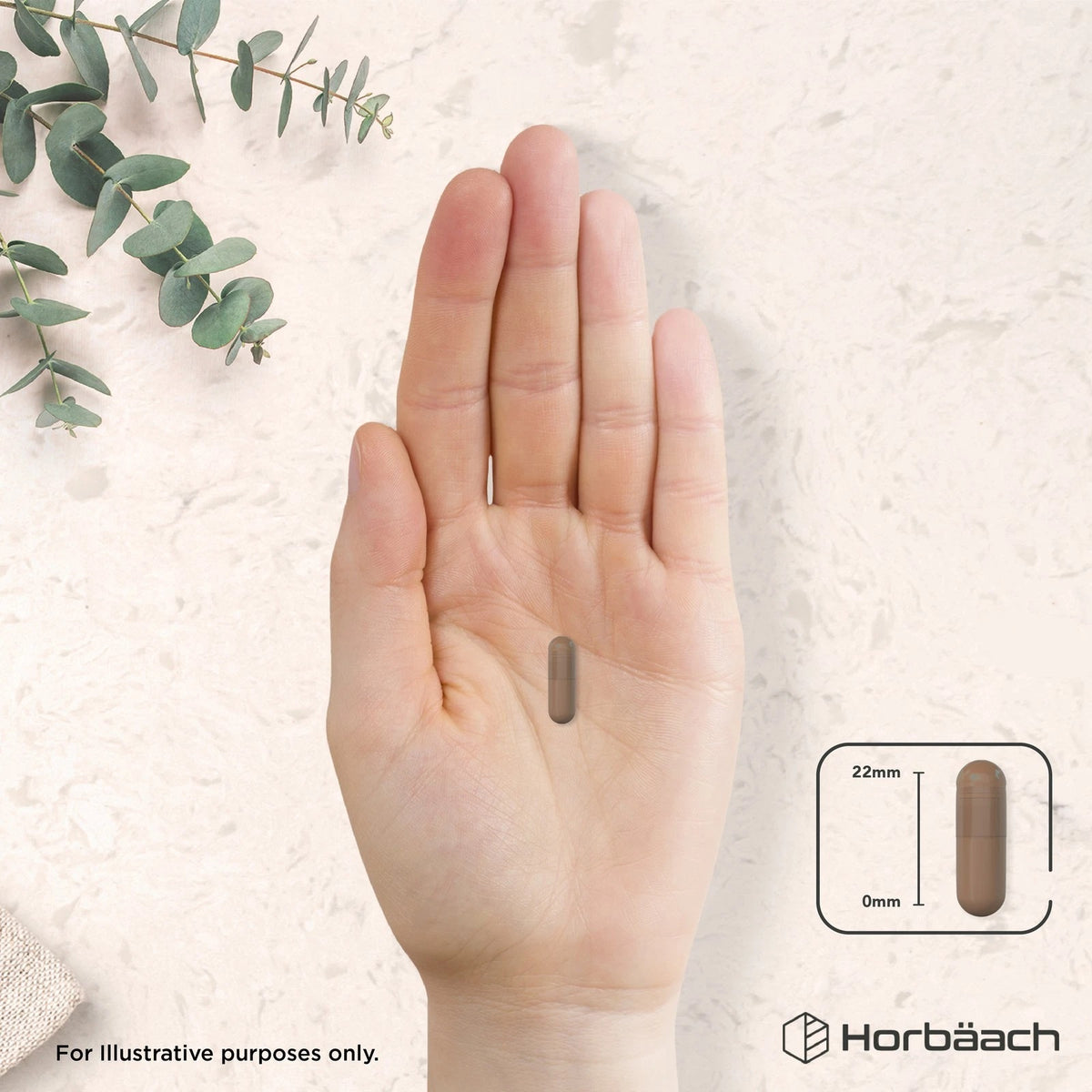 A brown capsule is held in a hand, with graphics indicating its length is 22mm.