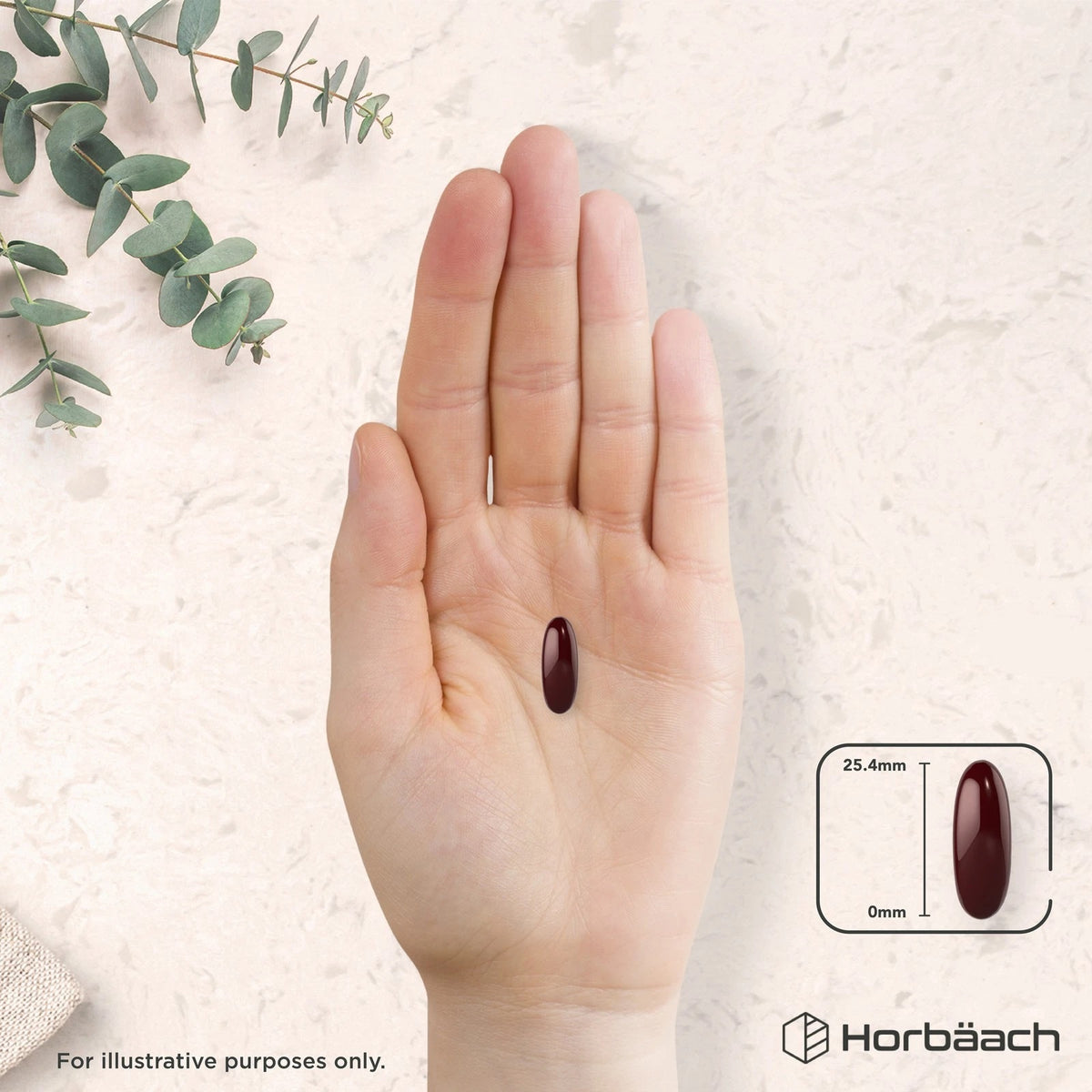 A dark red oblong softgel, 25.4mm long, held in a hand.
