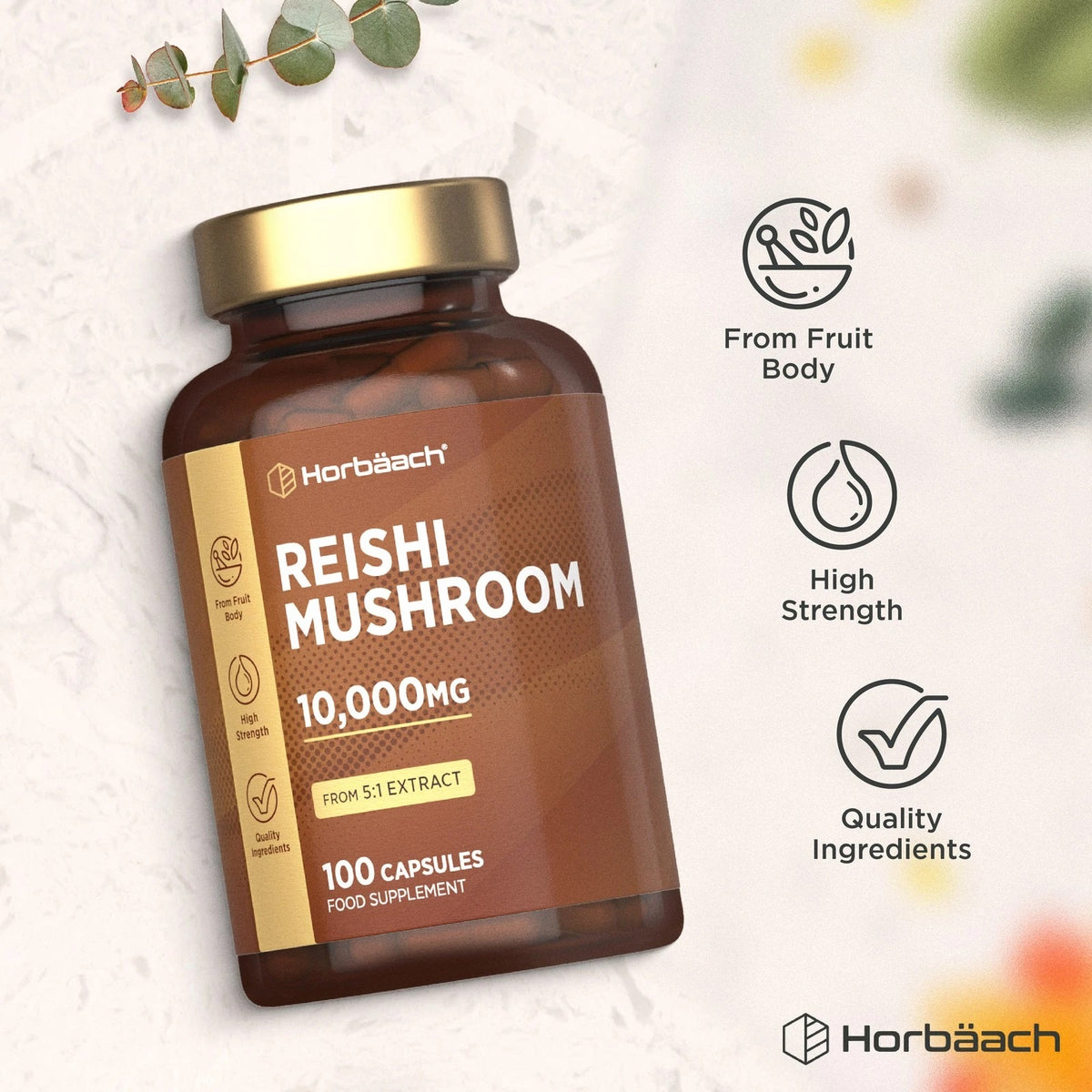Reishi Mushroom 10,000MG, 5:1 Extract, 100 Capsules, made from fruit body with high strength quality ingredients.