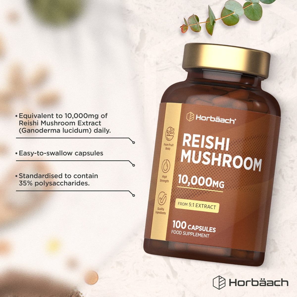 Reishi Mushroom 10,000MG from 5:1 extract with 100 capsules as a food supplement.