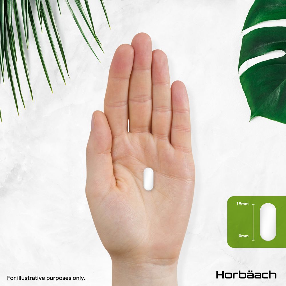 Tablet measuring 19mm in length and 0mm in width on a hand, featuring the Horbäach logo.