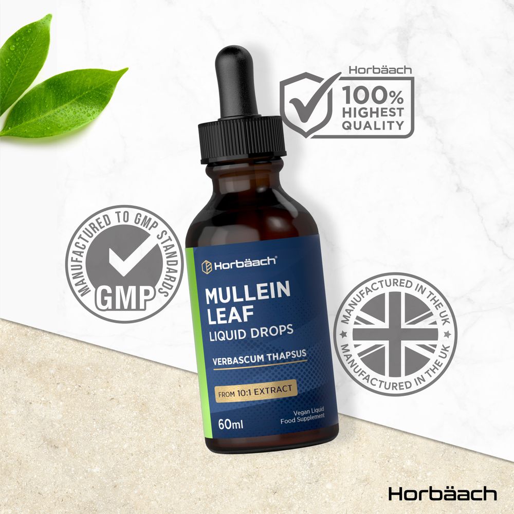 Bottle of Mullein Leaf Liquid Drops 60ml held in hand, illustrating size and scale of the product for easy use.