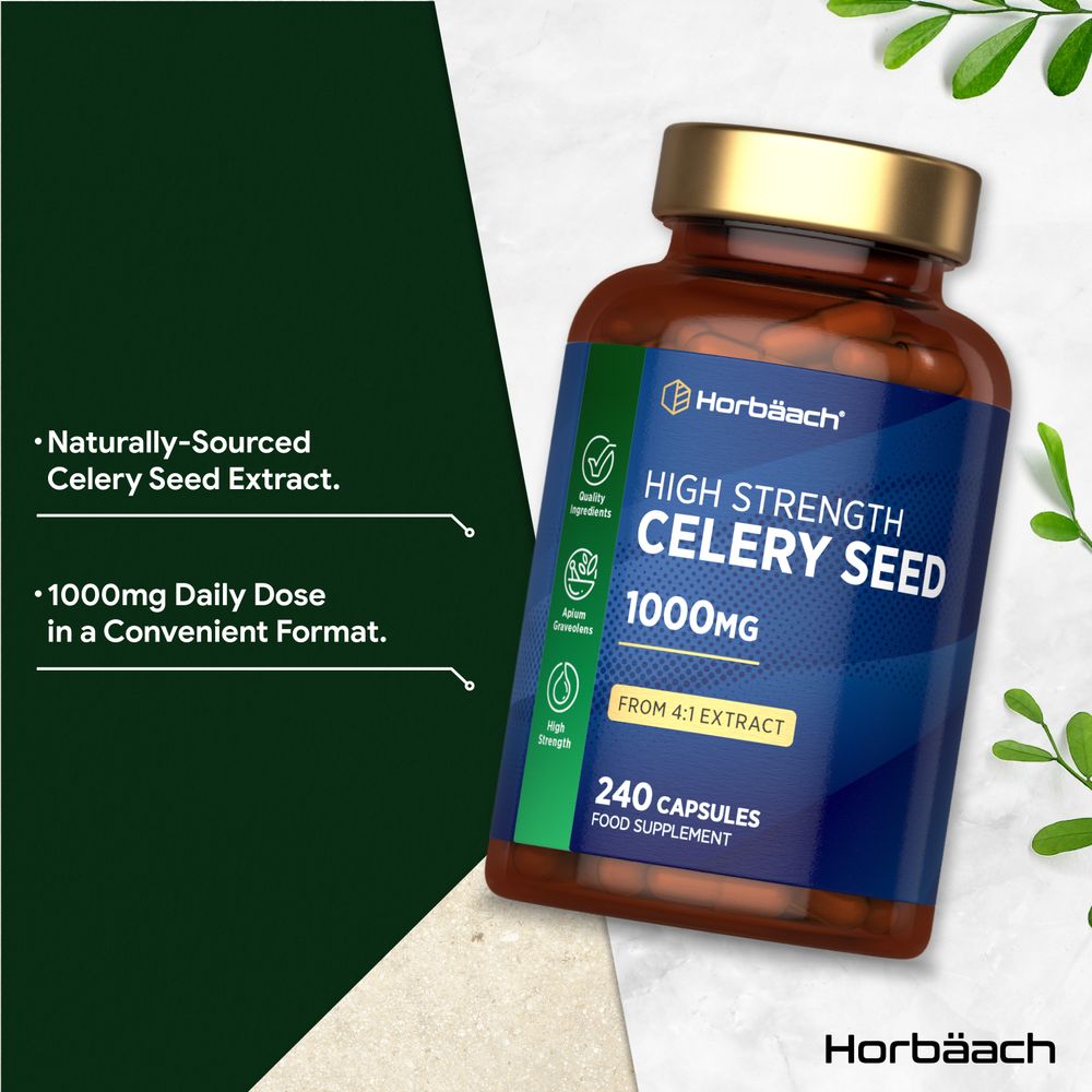 Hand holding a bottle labeled Celery Seed 1000mg with 240 capsules, demonstrating the product's size and packaging.