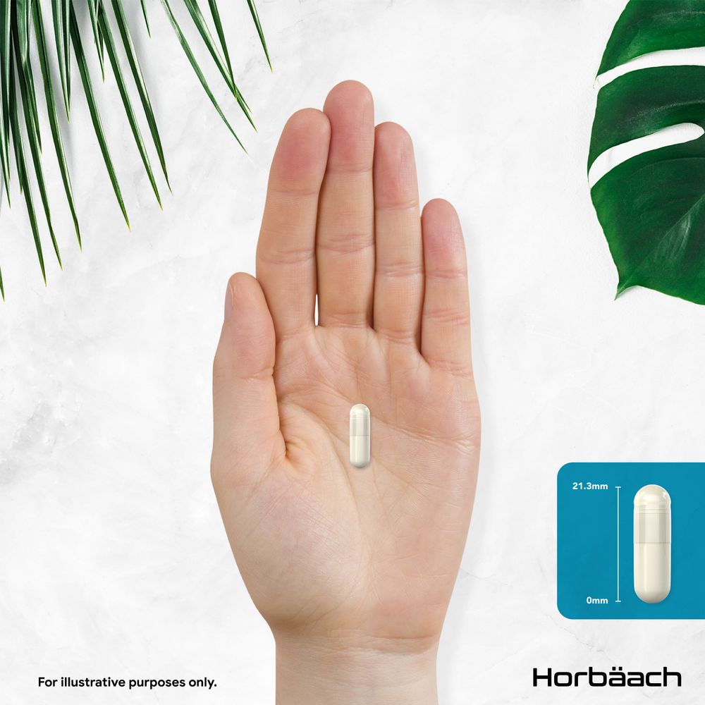 A hand holding a vegan capsule measuring 21.3mm long, illustrating its size relative to the hand for scale.