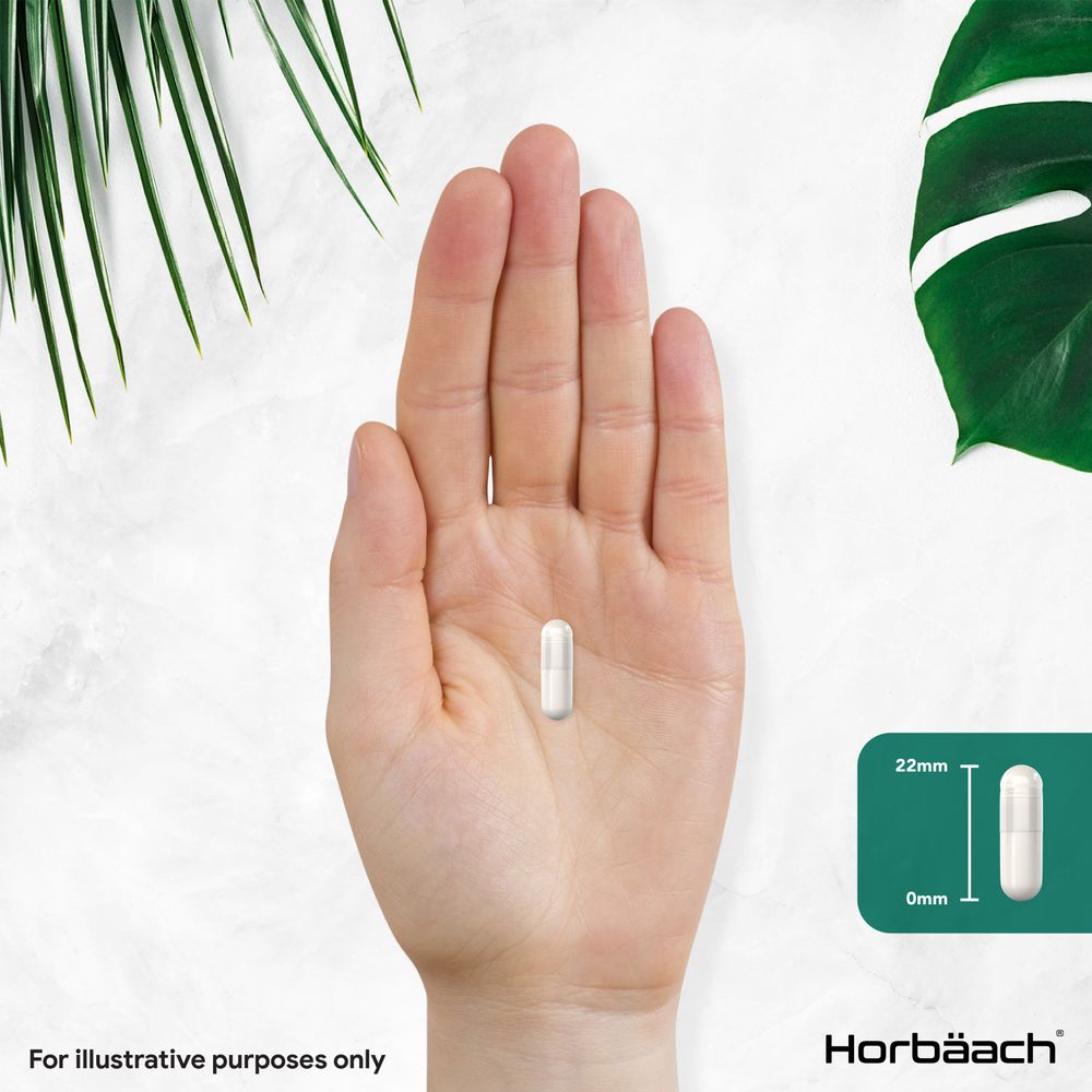 Hand holding a capsule measuring 22mm long and 0mm wide for size reference.