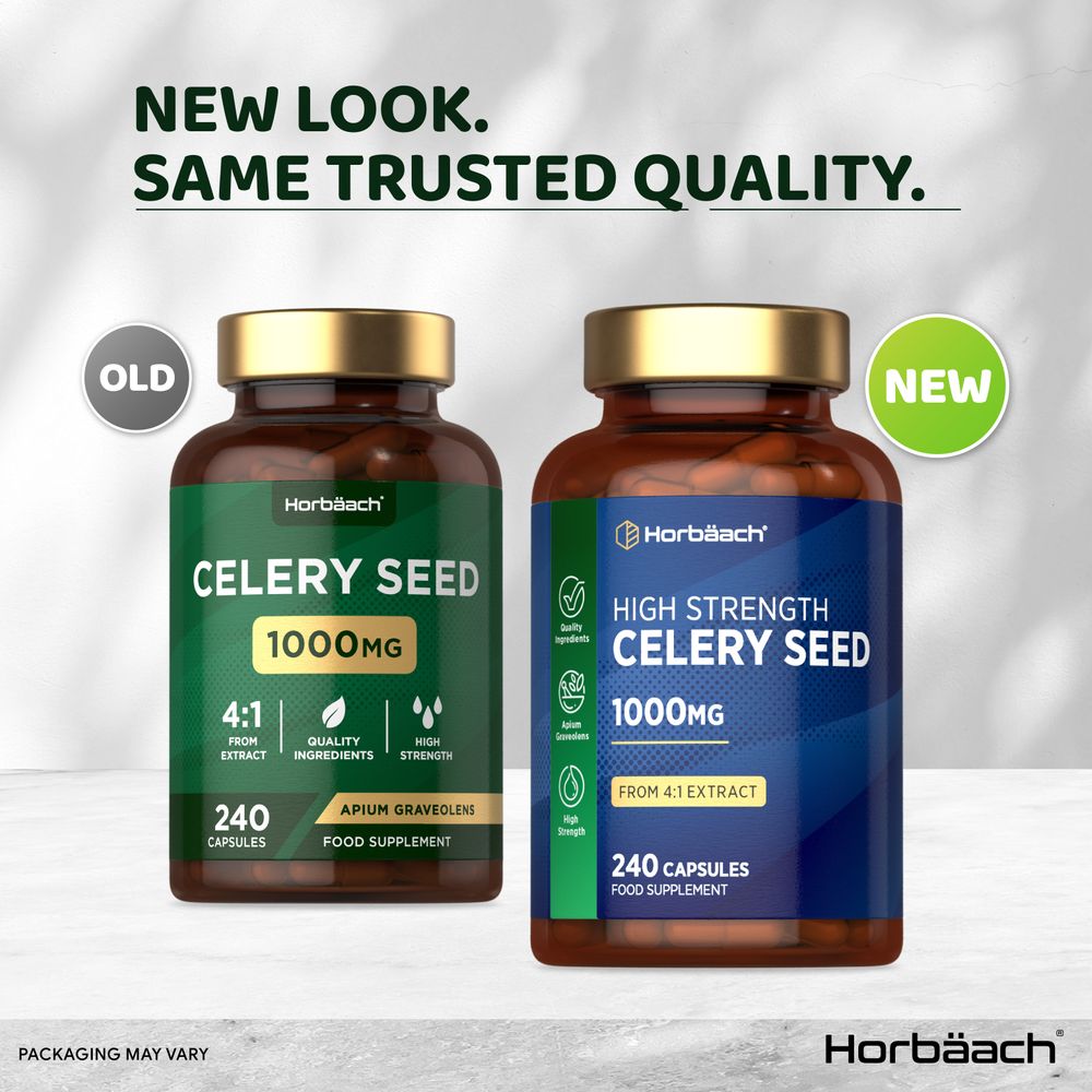 Celery Seed 1000mg bottle with 240 capsules displayed on a bulk scale beside a hand for size reference.