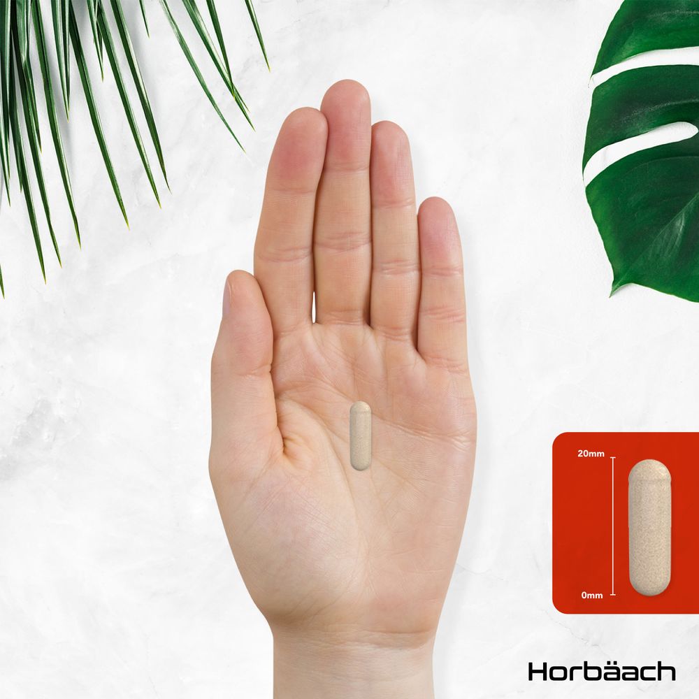 A 20mm capsule is displayed on a human hand to show scale.