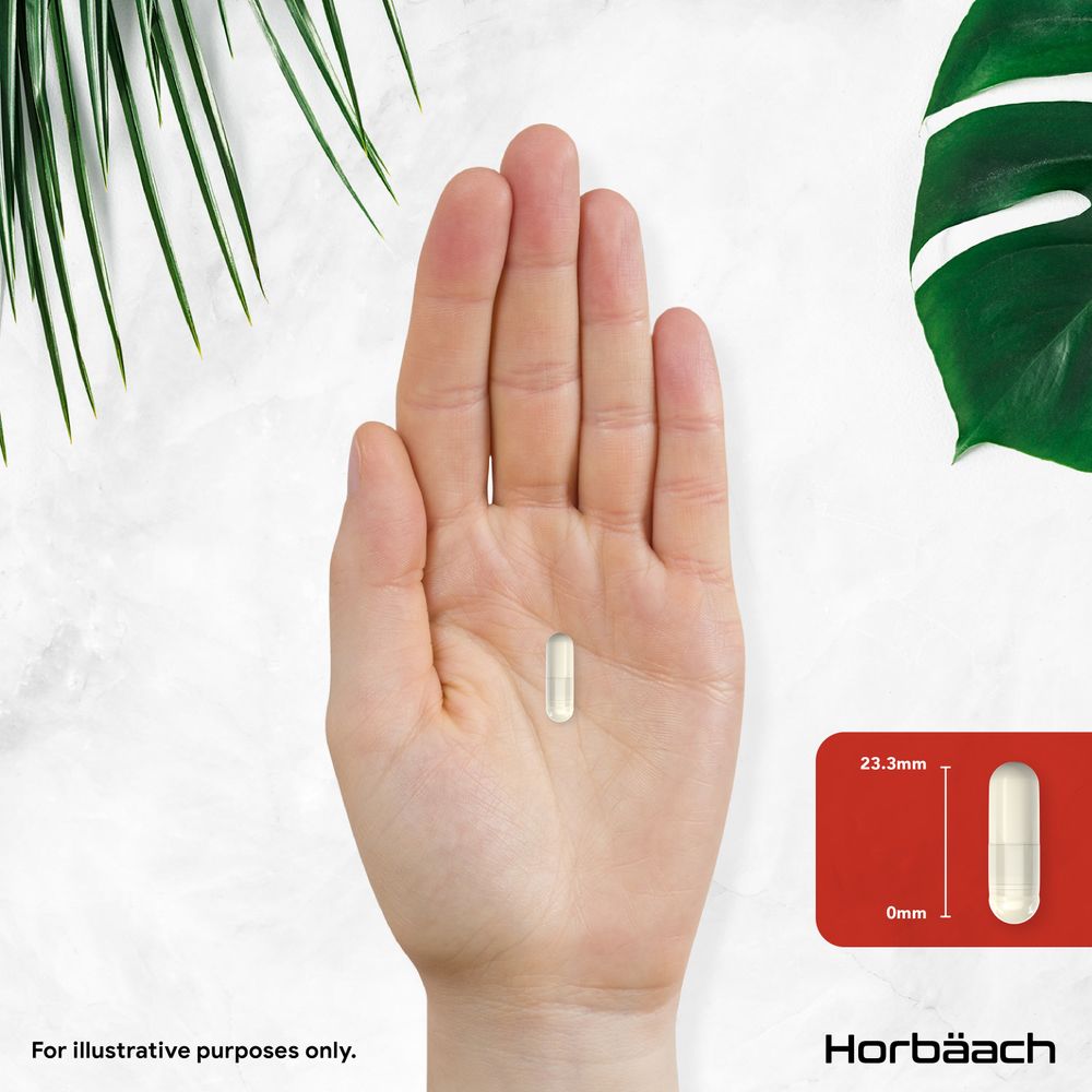 Capsule shown with dimensions: 23.3mm length, 0mm width.