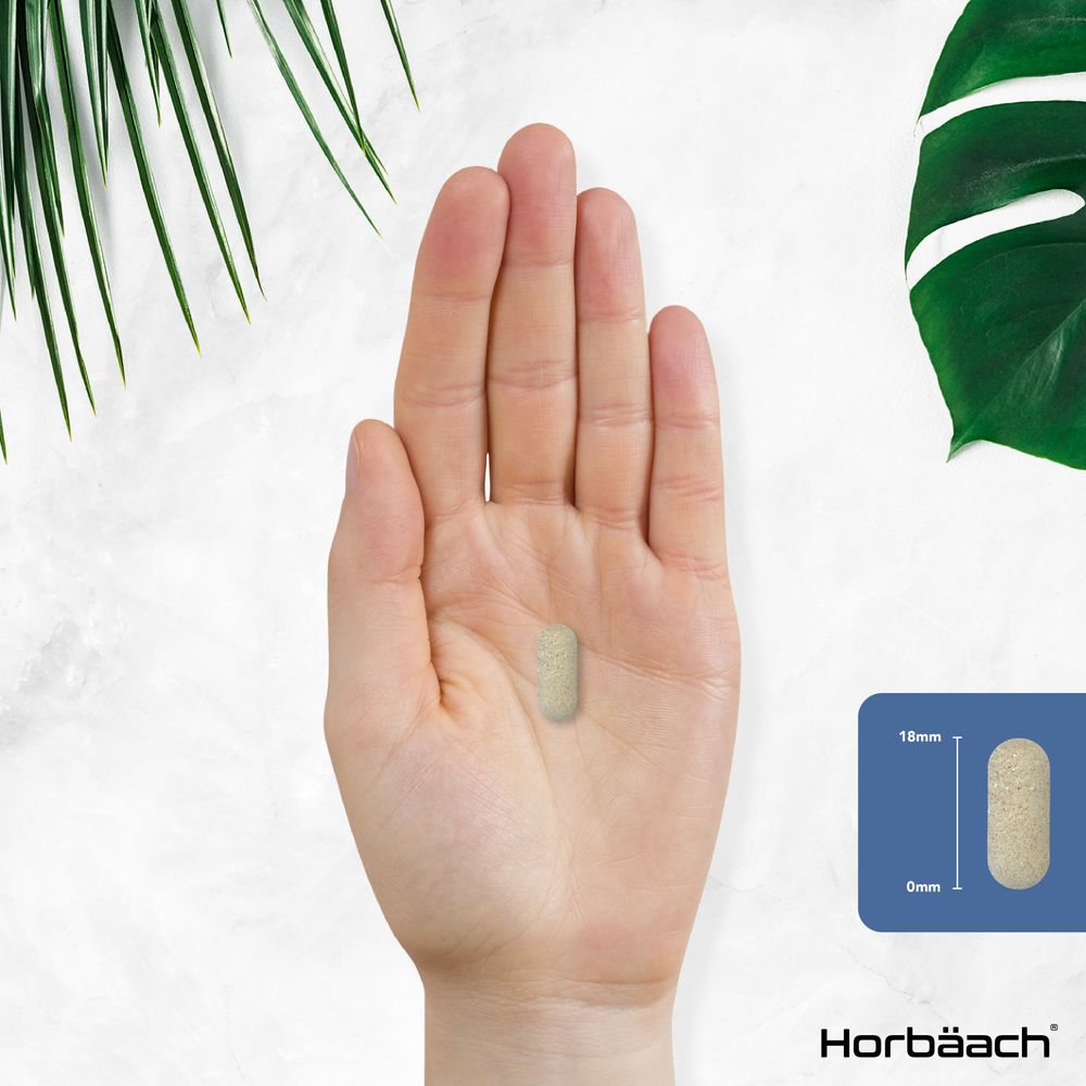 A single light tan oblong tablet, 18mm long, is held in a hand.