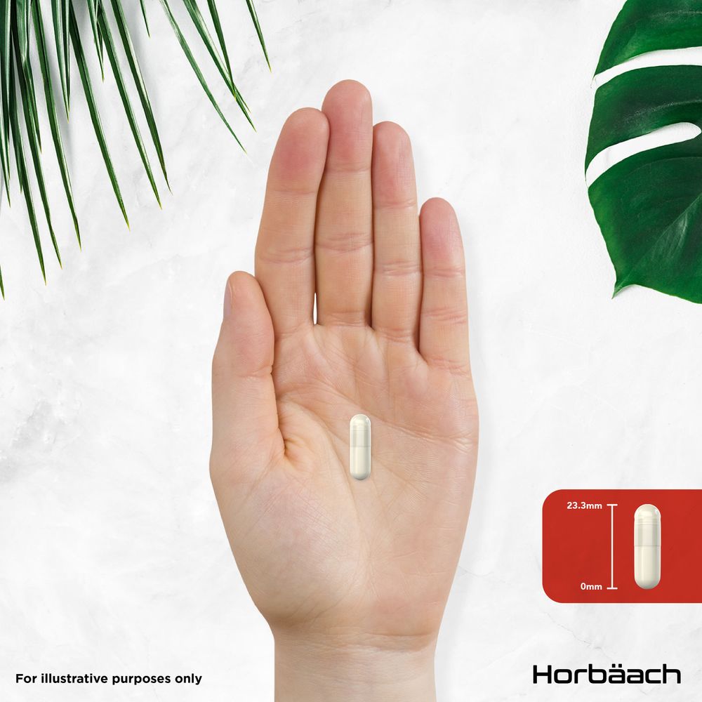 A single vegan capsule measuring 23.3mm is shown on a bulk scale, with hand indicating the size.