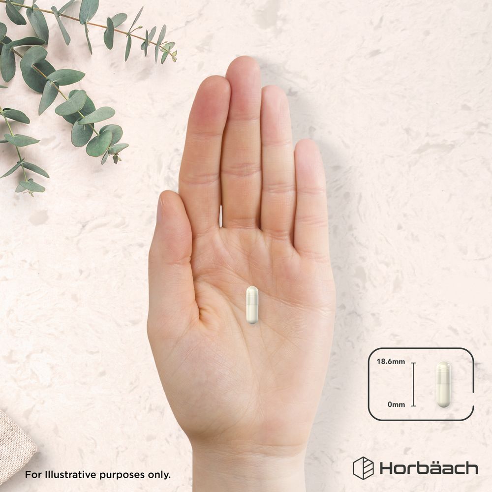 A hand holds a translucent vegan capsule, detailed with a diagram showing its 18.6mm length.