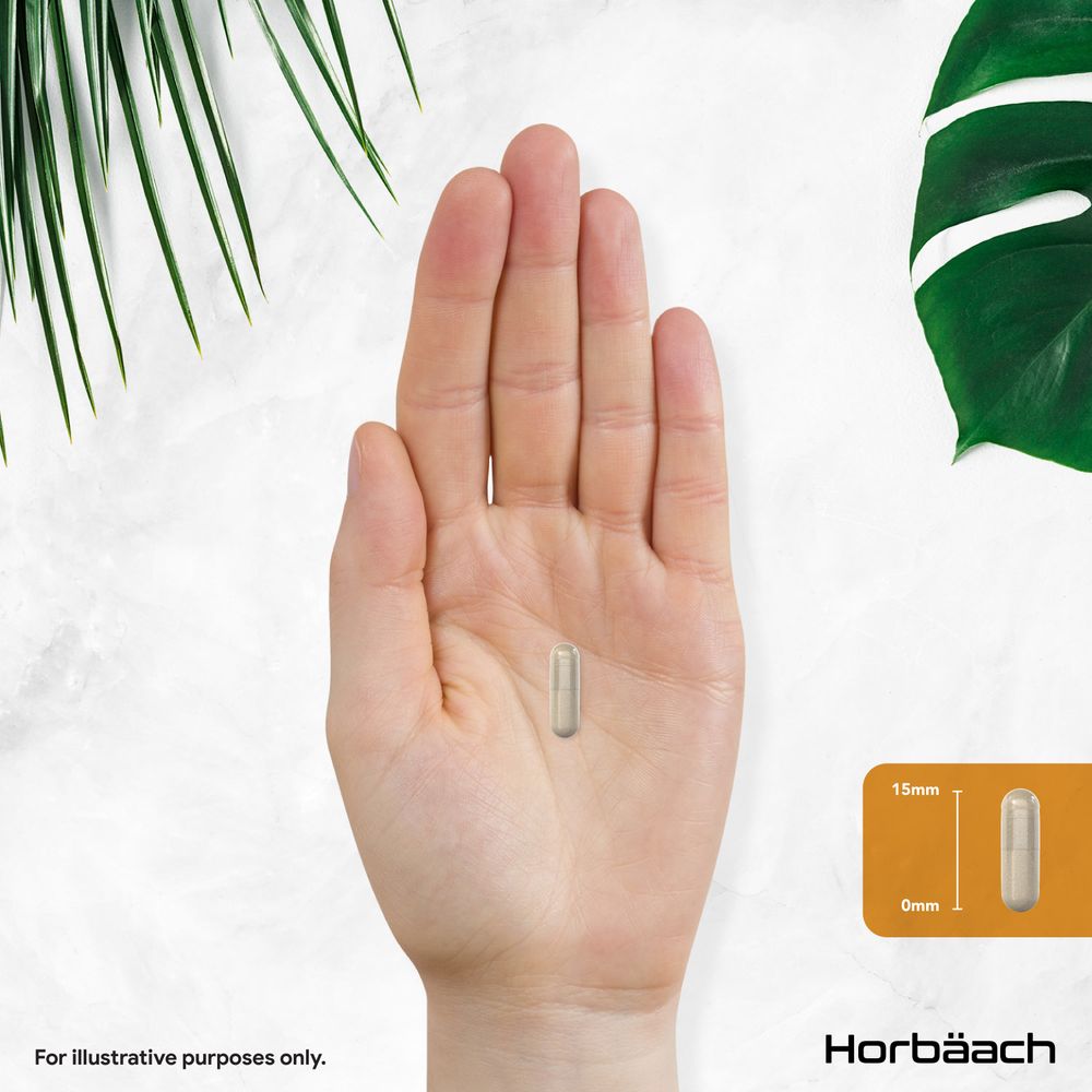 A clear 15mm capsule on an open palm, with an inset graphic illustrating the capsule and its 15mm measurement.