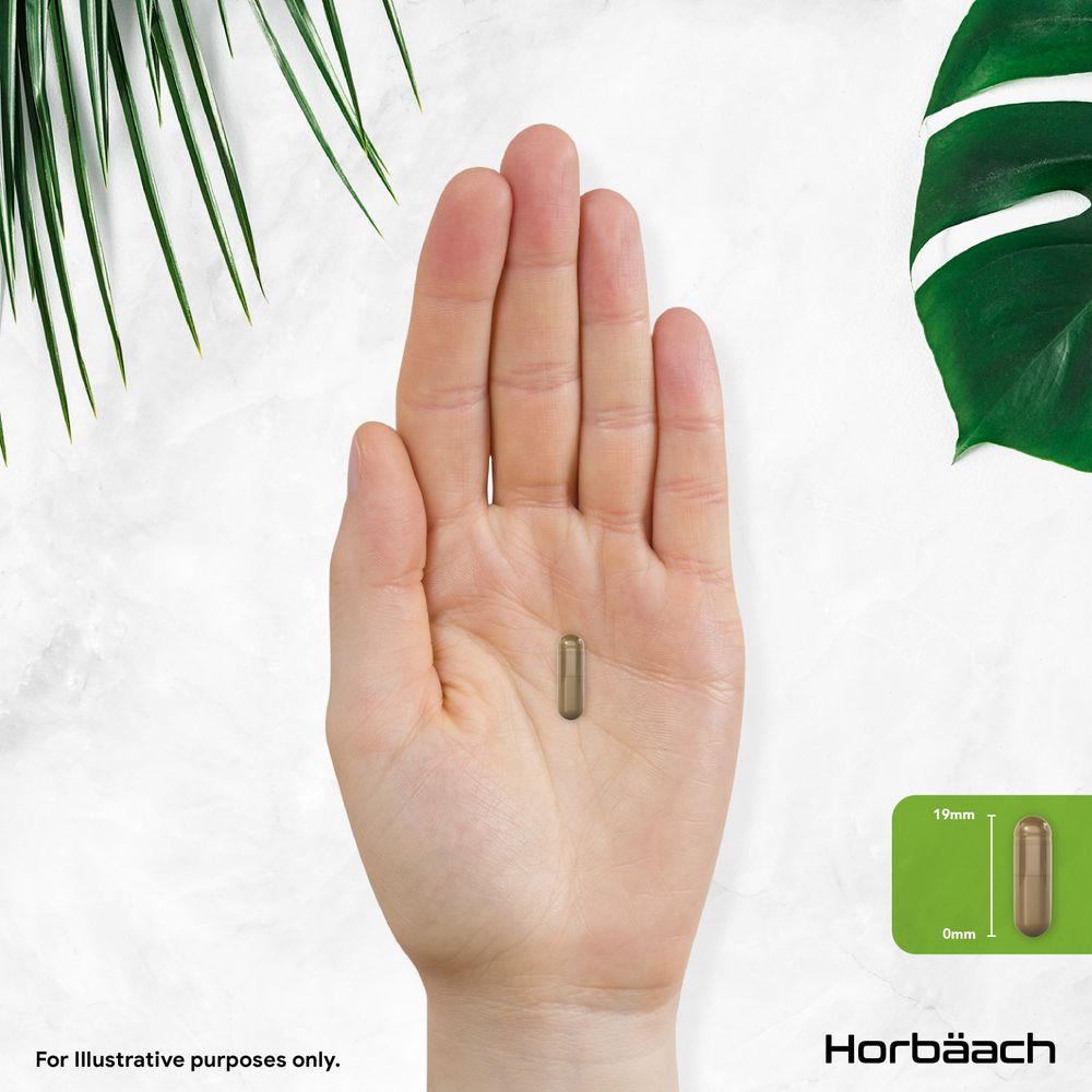 A 19mm capsule lies in an open palm, demonstrating its size.