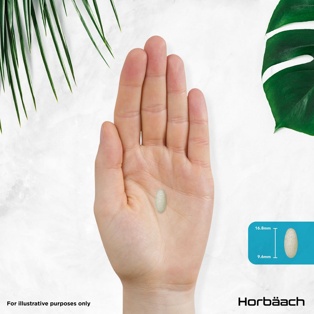 A tablet measuring 16.8mm by 9.6mm held in a hand.