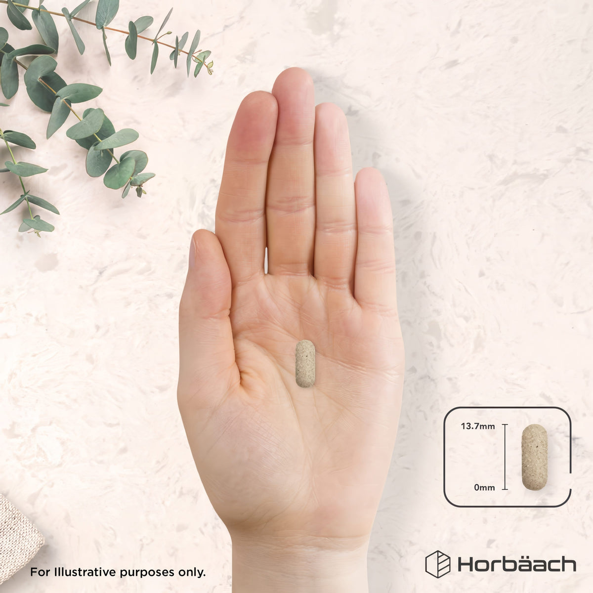 A 13.7mm long HU Sugar Steady Formula tablet held in a hand.