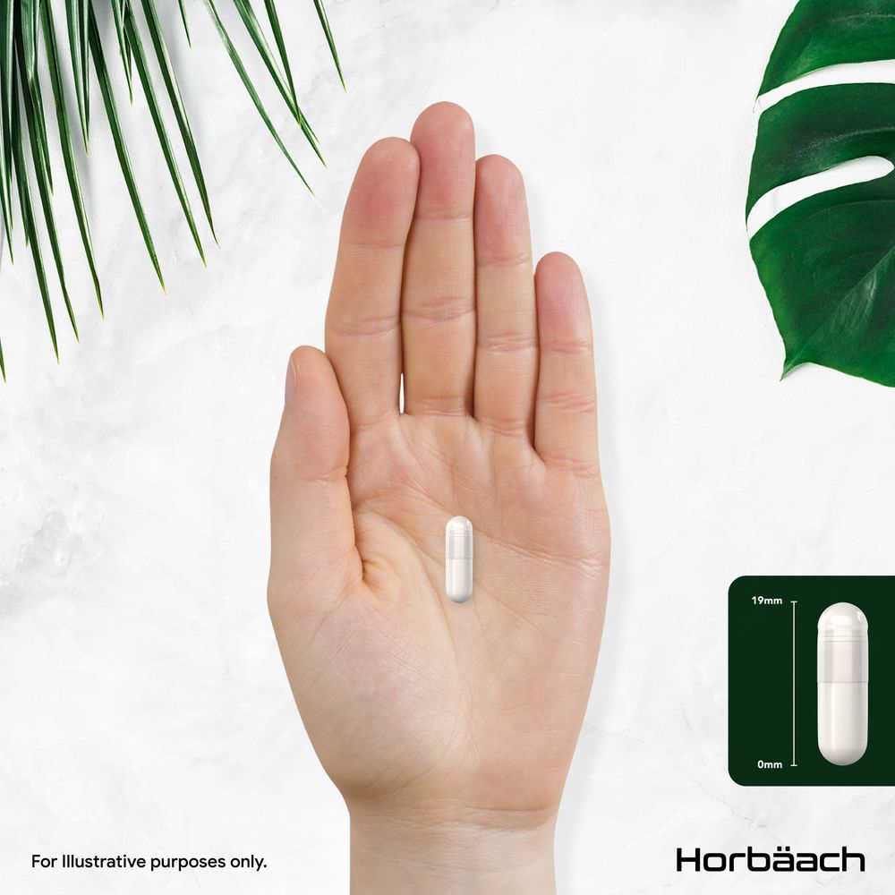 A 19mm long white capsule is held in a hand, accompanied by a diagram showing its length.