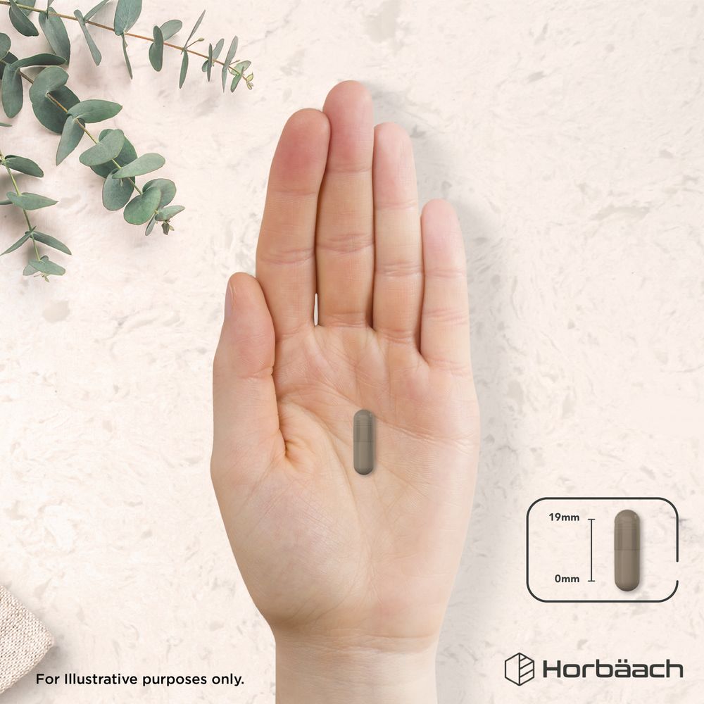 A 19mm long capsule used for bulk measurement on a hand scale.