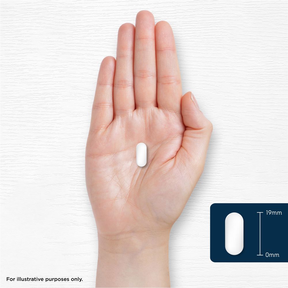 A white, oval 19mm tablet rests on an open palm. A graphic beside it displays the tablet's 19mm length.
