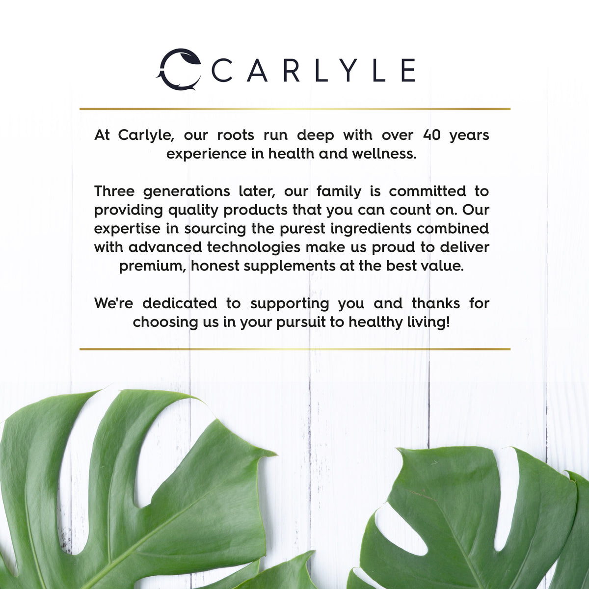 Carlyle logo. Text: 'At Carlyle, our roots run deep with over 40 years experience in health and wellness.' Green Monstera leaves on white wood.
