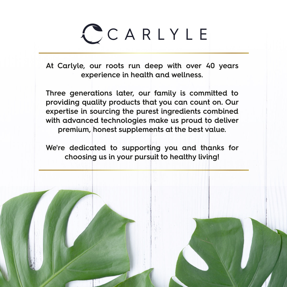 Carlyle brand graphic: Over 40 years in health and wellness. Premium, honest supplements at the best value.