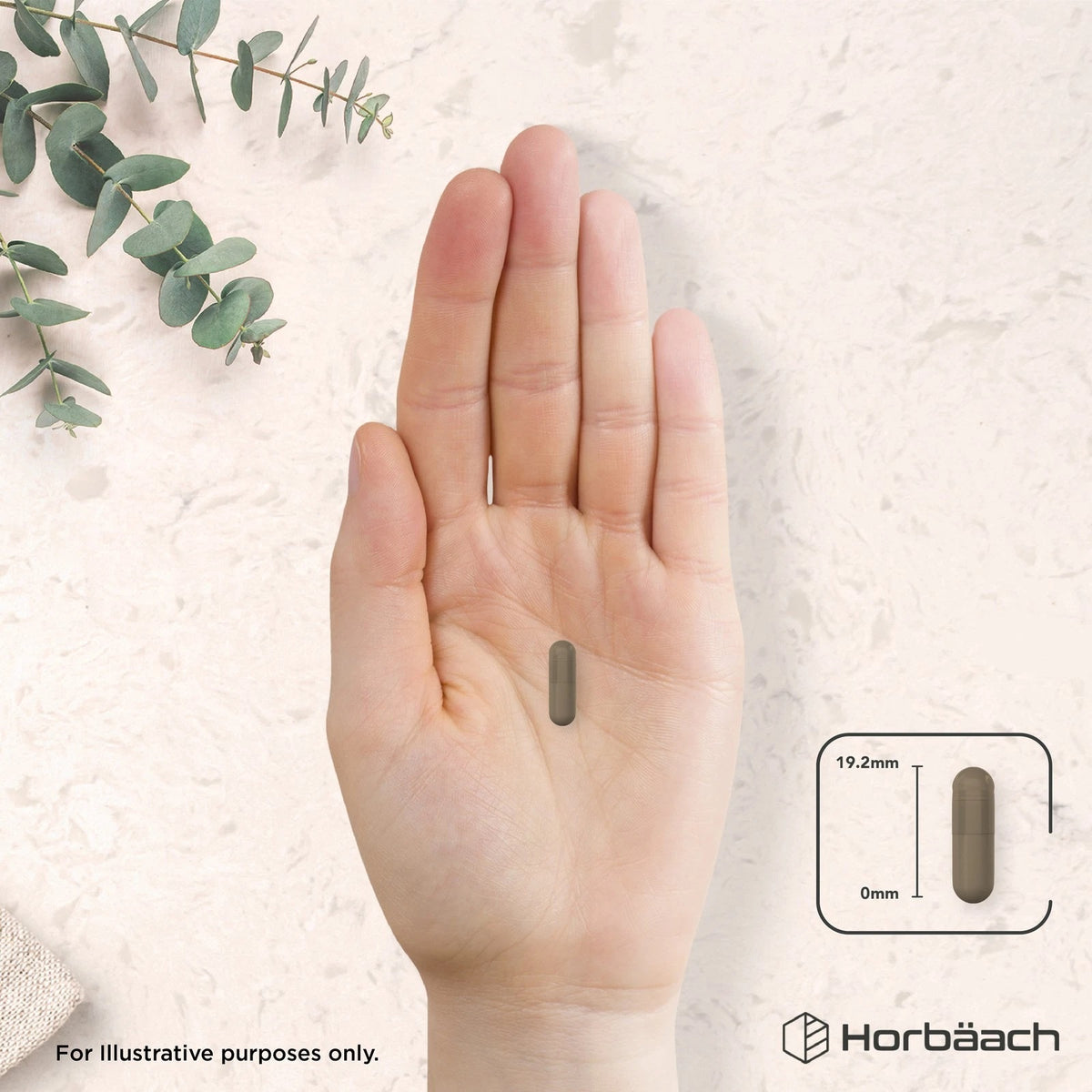 A dark grey capsule rests on a hand. Its dimensions are 19.2mm in length and 0mm in width.
