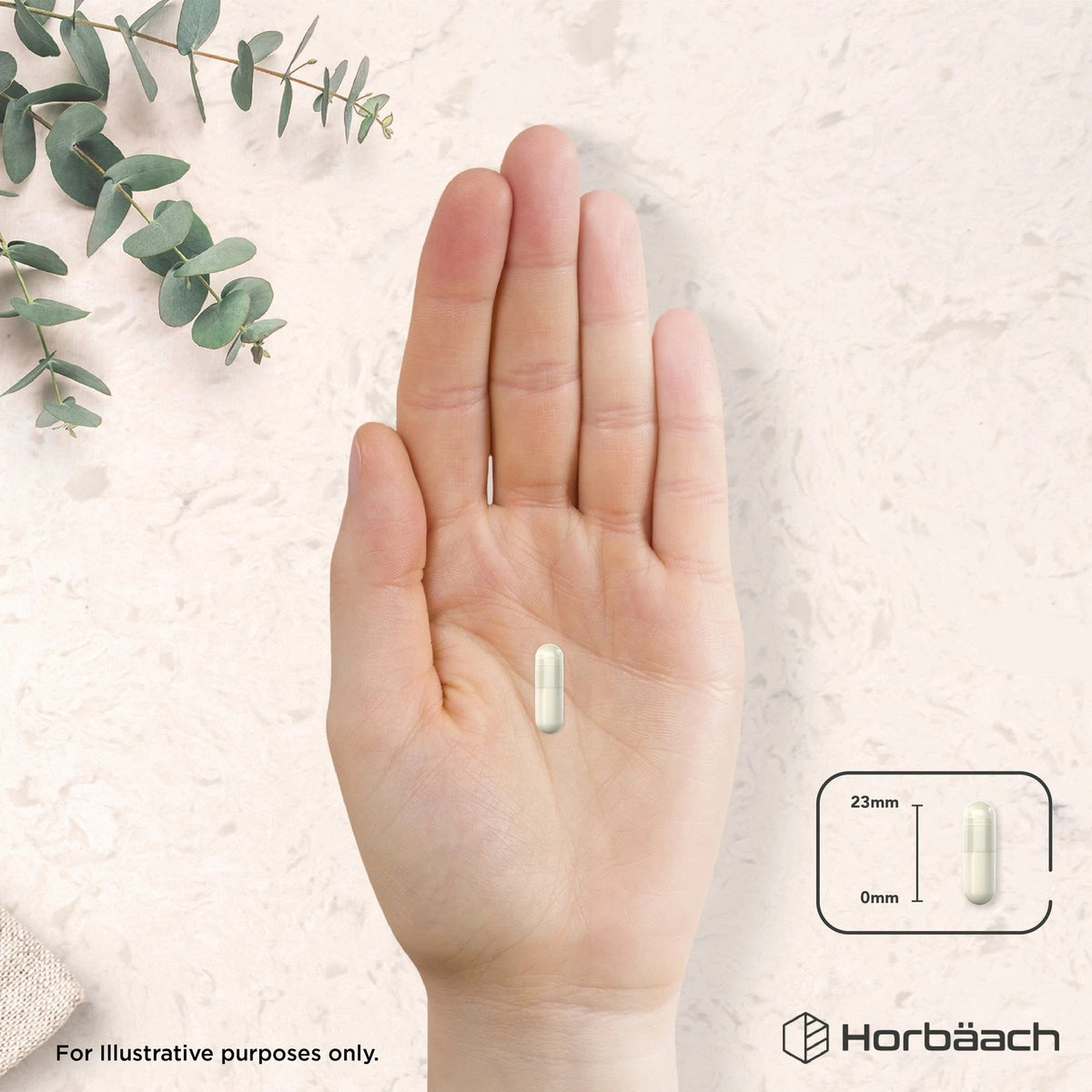 A 23mm capsule is placed on a human hand for size comparison.