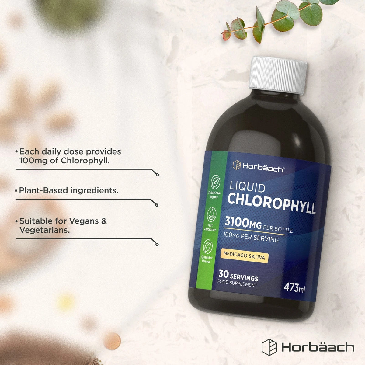 Horbäach Liquid Chlorophyll 473ml bottle, 100mg per serving, 3100mg total, 30 servings, Spearmint flavor.