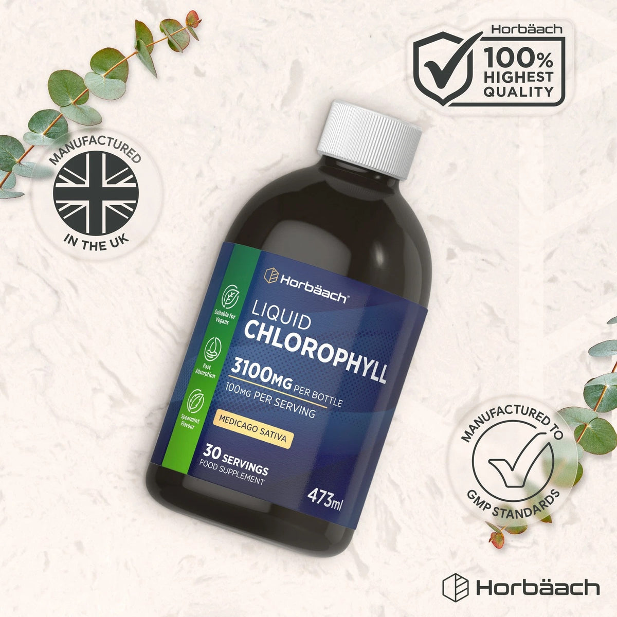 Liquid Chlorophyll Medicago Sativa: 3100mg per bottle, 100mg per serving, 30 servings, 473ml, Spearmint Flavour.
