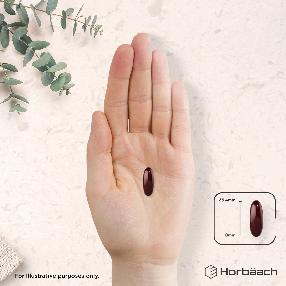 A dark red softgel capsule, 25.4mm long, held in an open palm.