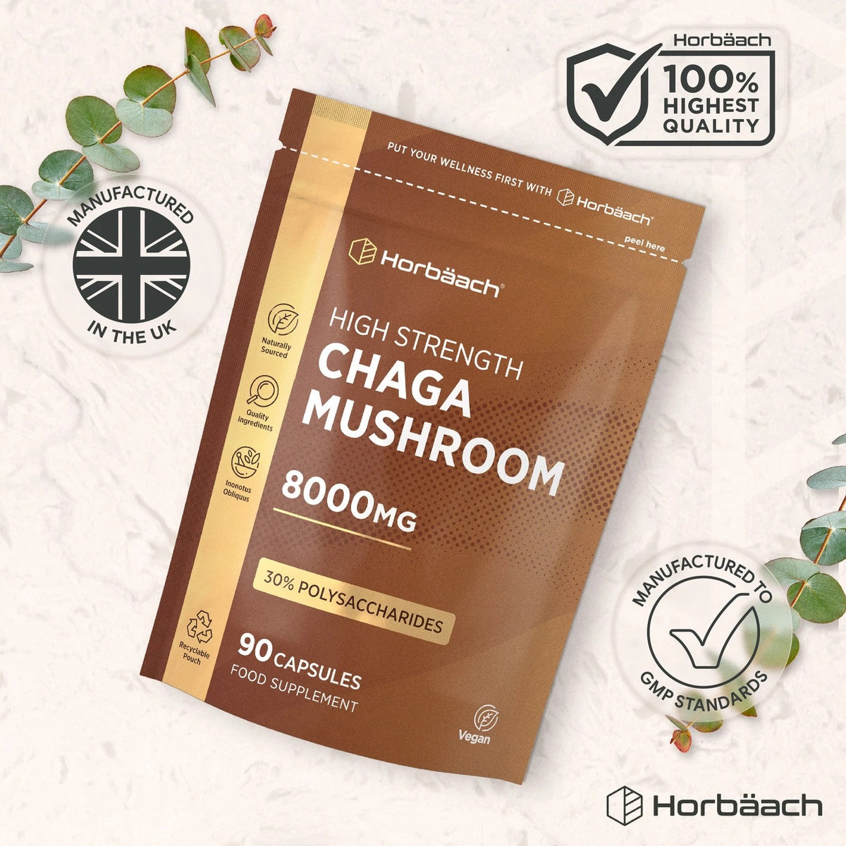 Chaga Mushroom supplement, 8000mg, 90 capsules in pouch.