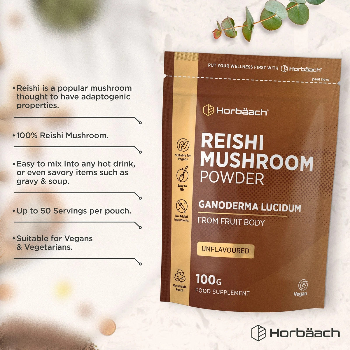 Reishi Mushroom Powder | 100 g