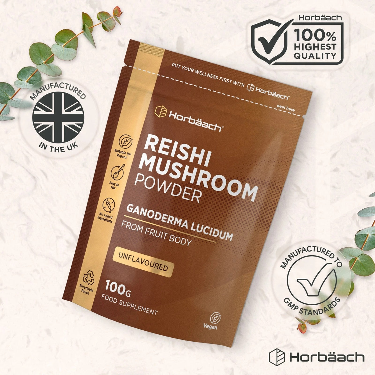 Reishi Mushroom Powder | 100 g