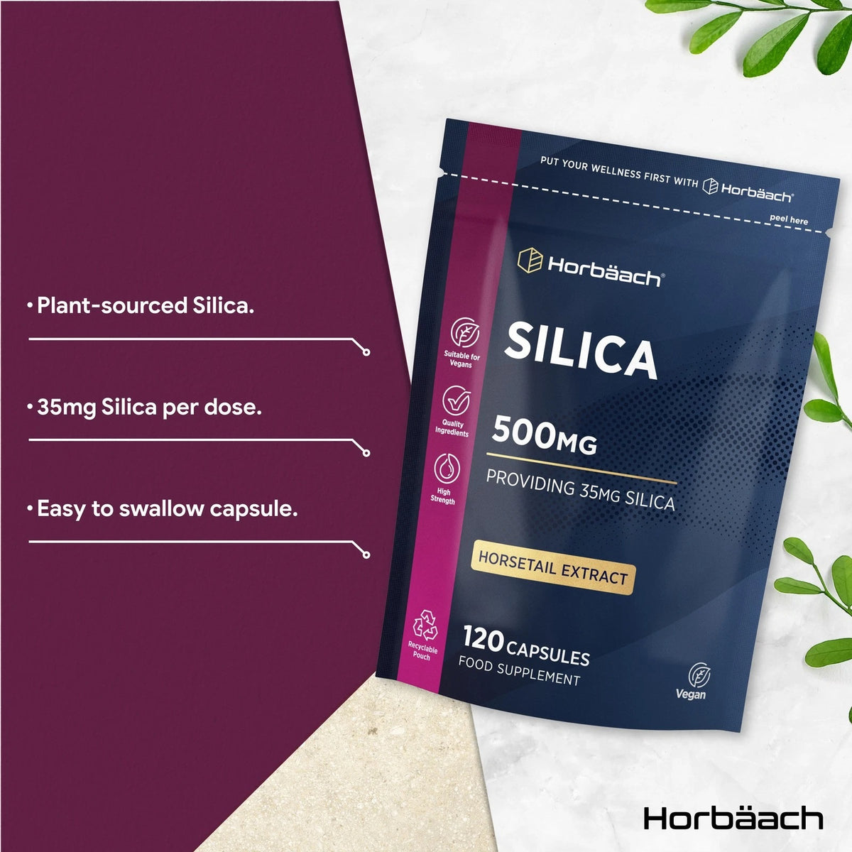 Silica supplement: 500mg Horsetail Extract, providing 35mg silica, in a 120-capsule food supplement bottle.
