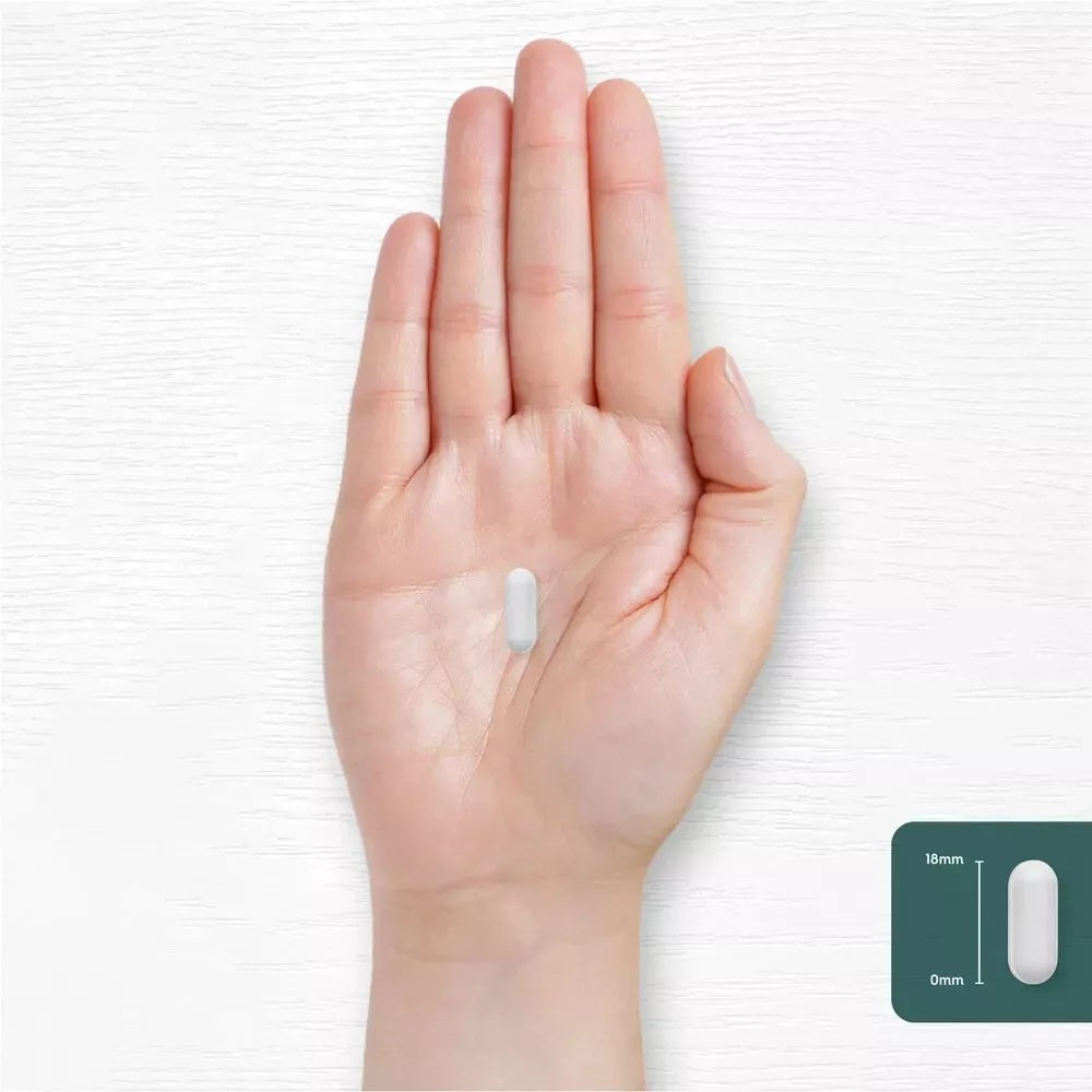A hand holds a vegan tablet that is 18mm long and white.