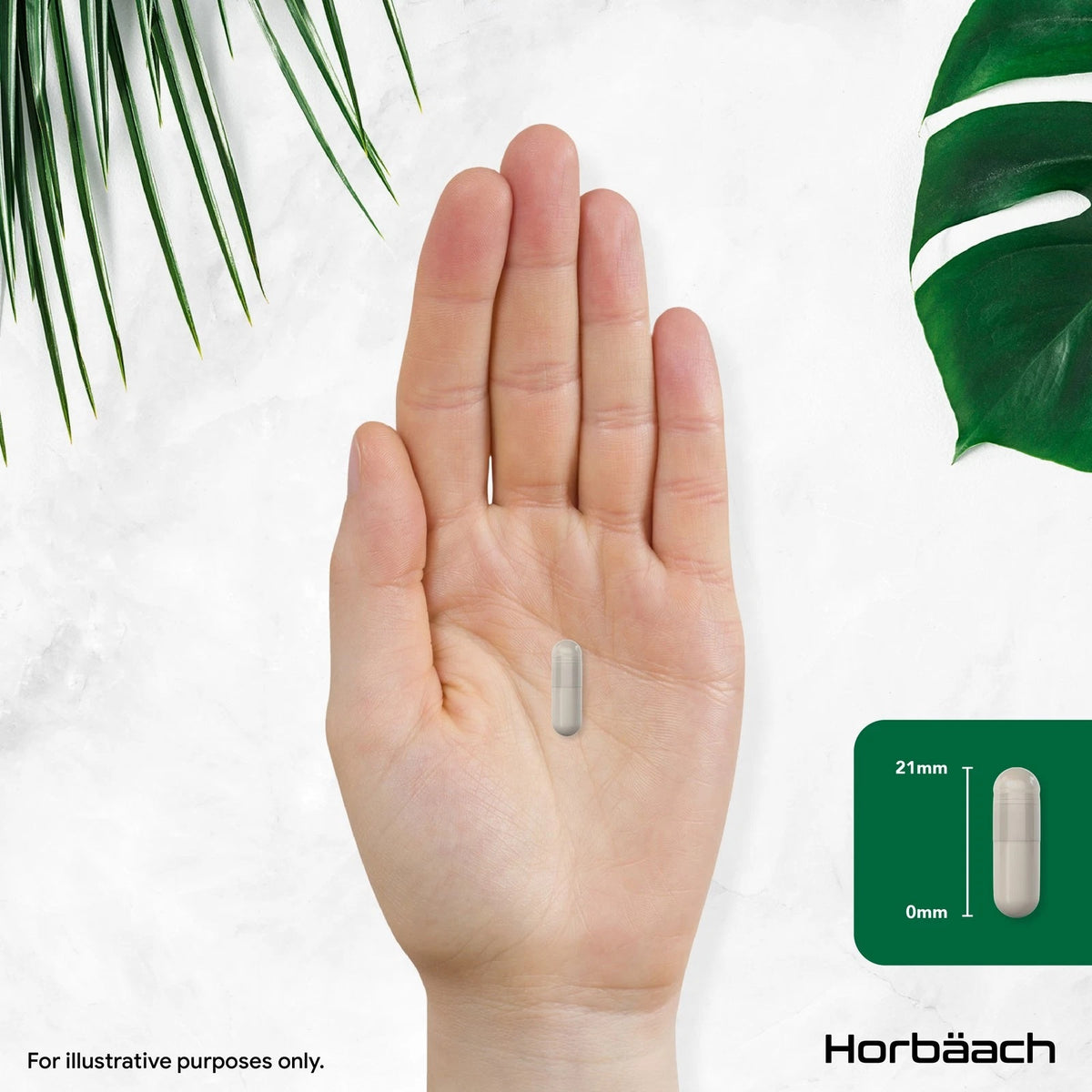 Capsule held on a hand, measuring 21mm long.