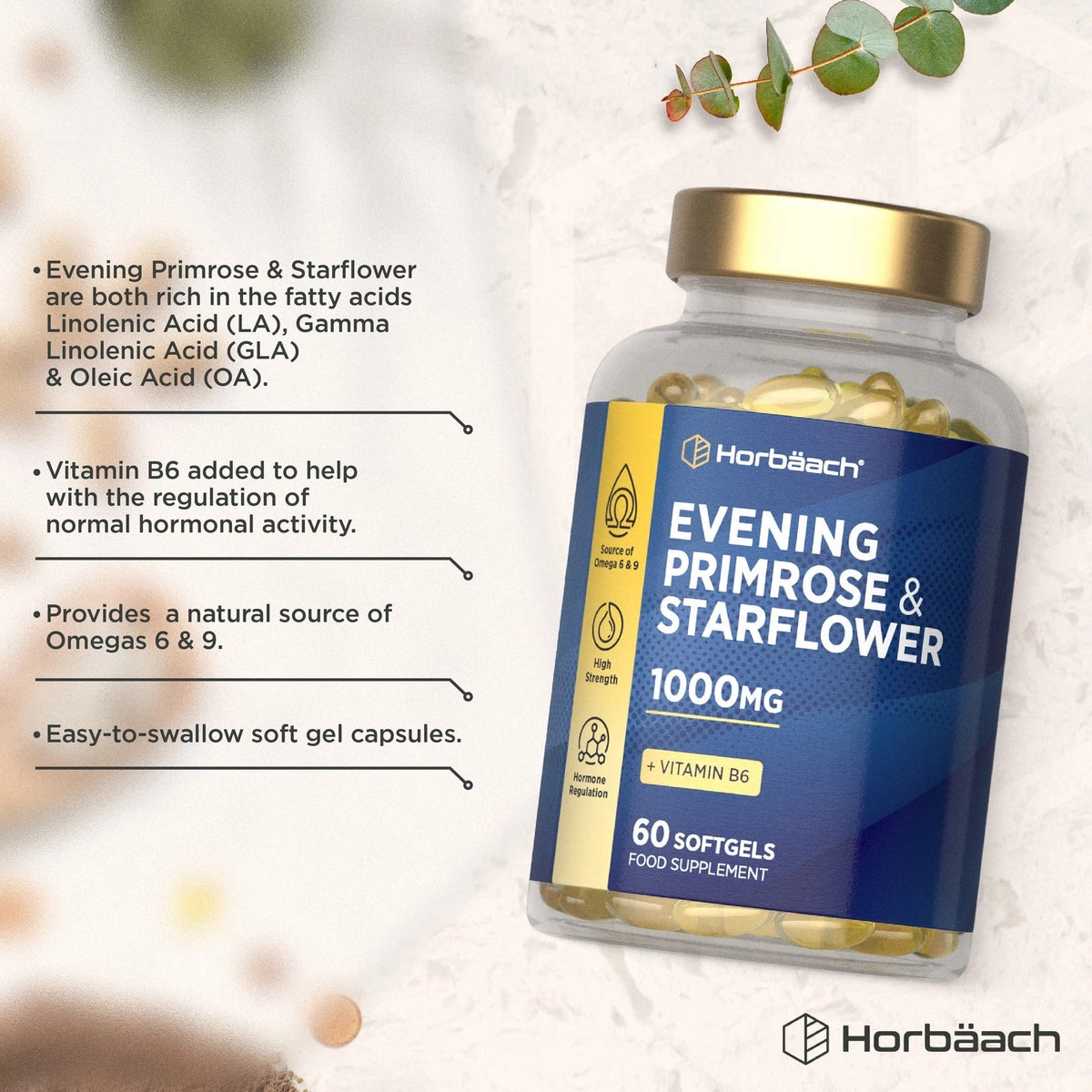 Evening Primrose & Starflower 1000mg with Vitamin B6, 60 softgels, a dietary supplement.