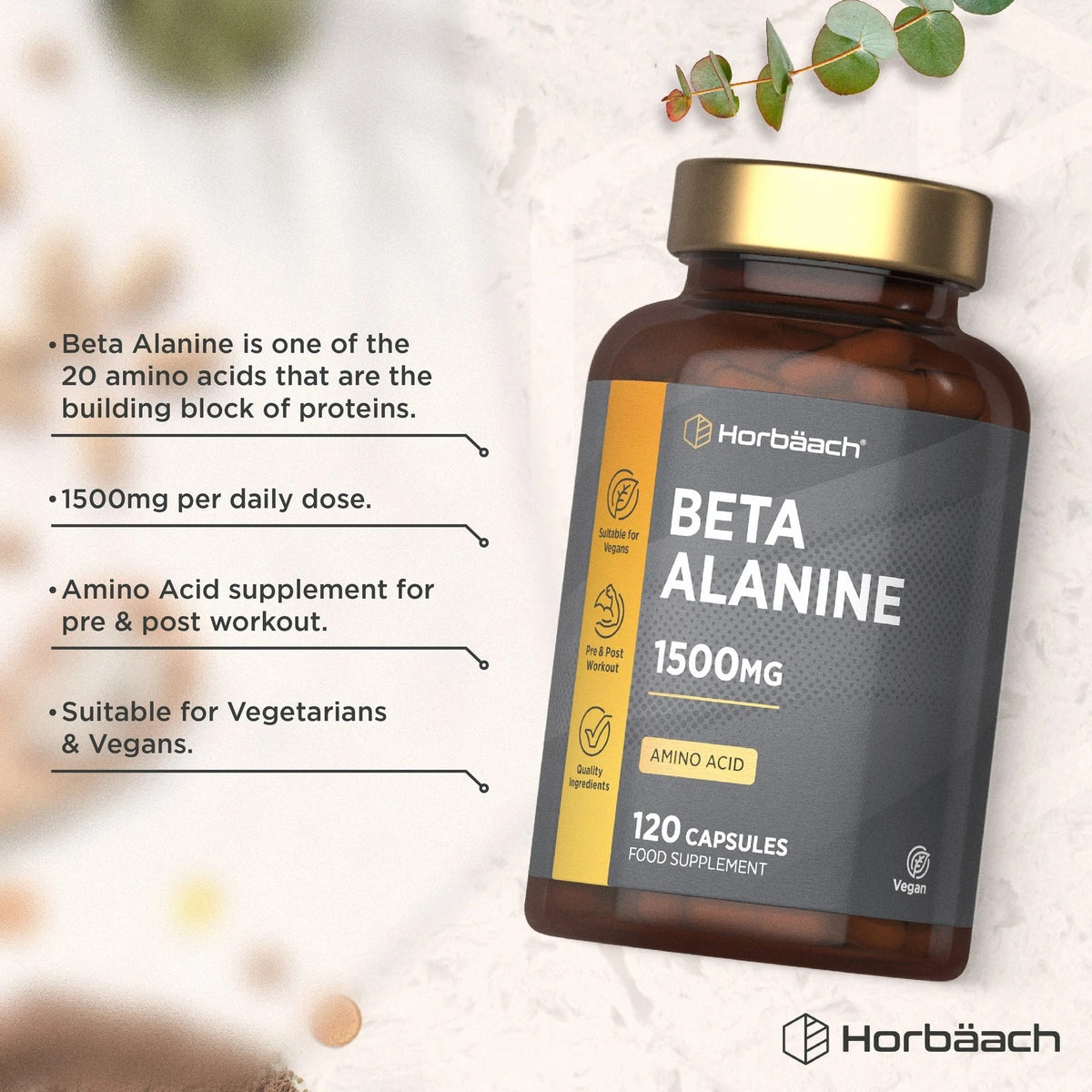 Horbäach Beta Alanine 1500mg, 120 vegan capsules food supplement bottle.